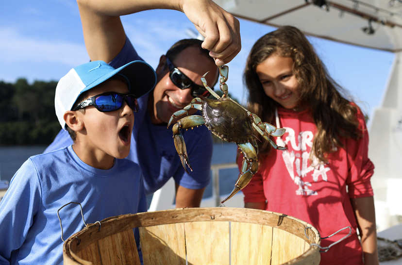 Crabbing Charters – Maryland Fishing and Hunting, LLC