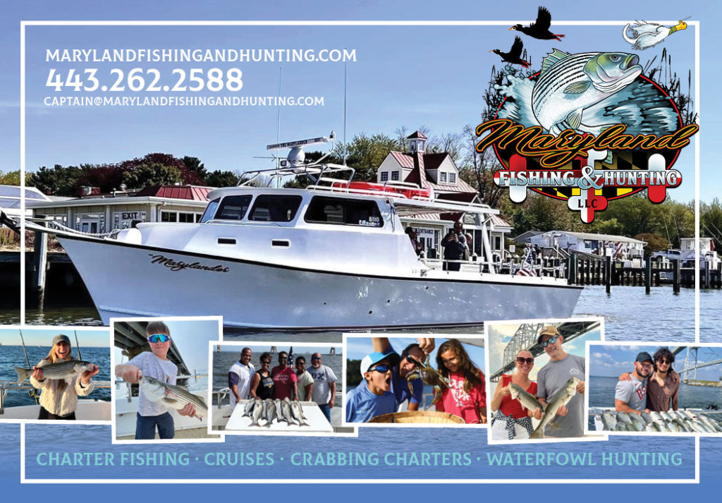 The Marylander is located at Kentmorr Marina in Stevensville, Maryland. We specialize in Charter Fishing for Striped Bass, Crabbing Charters, Sunset Cruises, Waterfowl Hunting, and good times for friends & families on the Chesapeake Bay!